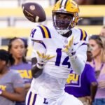 LSU Defeats South Carolina 20-10 Behind Trey’Dez Green’s Breakout Performance